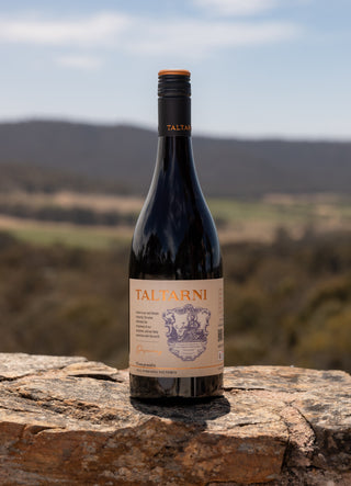 Discovery Tempranillo 2024
