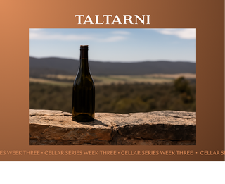 2022 Dynamic Fume Blanc Cleanskin Dozen Offer