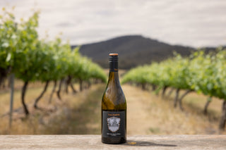 EOFY Victorian Sauvignon Blanc Dozen Offer