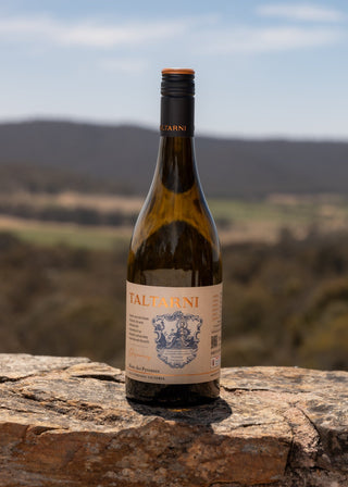 Discovery Blanc des Pyrenees 2023